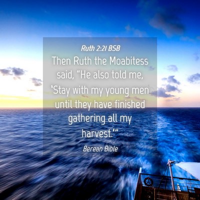 Picture 04 - Ruth 2:21 BSB - Then Ruth the Moabitess said, “He also told me, - Bible Verse Picture