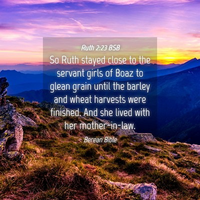Picture 04 - Ruth 2:23 BSB - So Ruth stayed close to the servant girls of Boaz - Bible Verse Picture