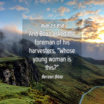 Picture 04 - Ruth 2:5 BSB - And Boaz asked the foreman of his harvesters, - Bible Verse Picture