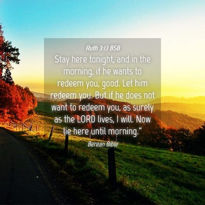Picture 04 - Ruth 3:13 BSB - Stay here tonight, and in the morning, if he - Bible Verse Picture