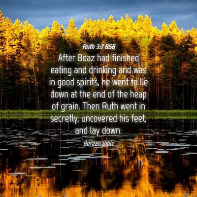 Picture 04 - Ruth 3:7 BSB - After Boaz had finished eating and drinking and - Bible Verse Picture