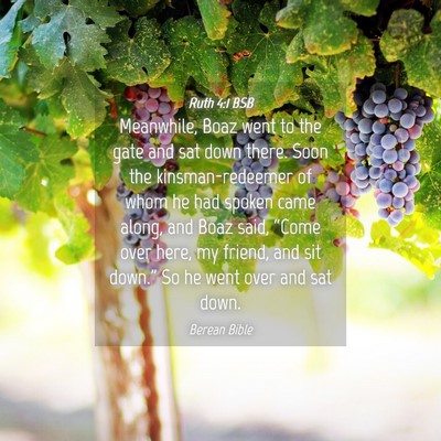 Picture 04 - Ruth 4:1 BSB - Meanwhile, Boaz went to the gate and sat down - Bible Verse Picture