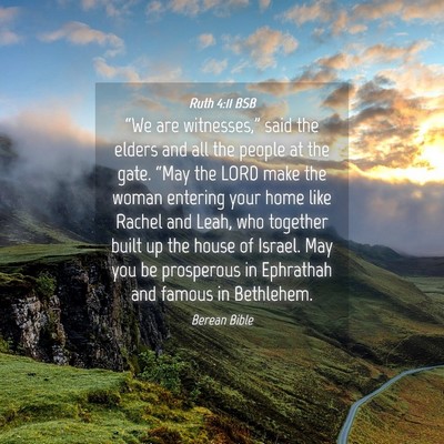 Picture 04 - Ruth 4:11 BSB - “We are witnesses,” said the elders and all - Bible Verse Picture