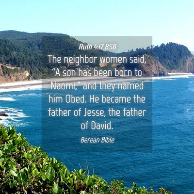 Picture 04 - Ruth 4:17 BSB - The neighbor women said, “A son has been born - Bible Verse Picture