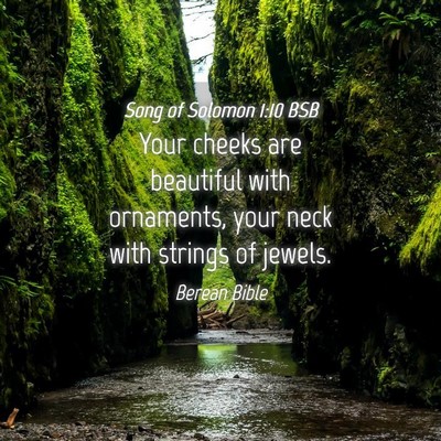 Picture 04 - Song of Solomon 1:10 BSB - Your cheeks are beautiful with ornaments, your - Bible Verse Picture