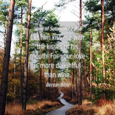 Picture 04 - Song of Solomon 1:2 BSB - Let him kiss me with the kisses of his mouth! For - Bible Verse Picture