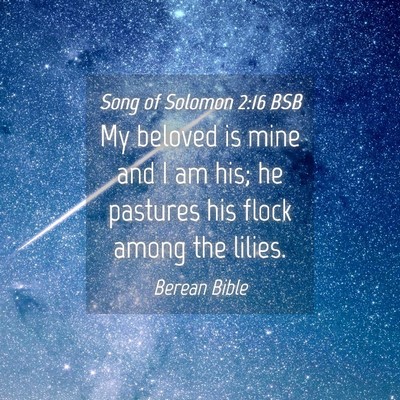 Picture 04 - Song of Solomon 2:16 BSB - My beloved is mine and I am his; he pastures his - Bible Verse Picture