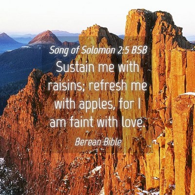 Picture 04 - Song of Solomon 2:5 BSB - Sustain me with raisins; refresh me with apples, - Bible Verse Picture