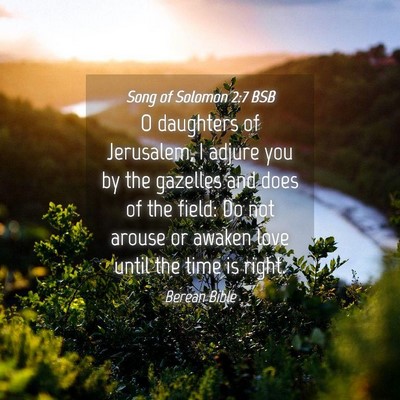 Picture 04 - Song of Solomon 2:7 BSB - O daughters of Jerusalem, I adjure you by the - Bible Verse Picture