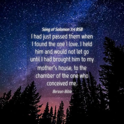 Picture 04 - Song of Solomon 3:4 BSB - I had just passed them when I found the one I - Bible Verse Picture