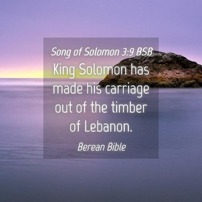 Picture 04 - Song of Solomon 3:9 BSB - King Solomon has made his carriage out of the - Bible Verse Picture