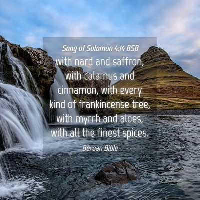 Picture 04 - Song of Solomon 4:14 BSB - with nard and saffron, with calamus and cinnamon, - Bible Verse Picture