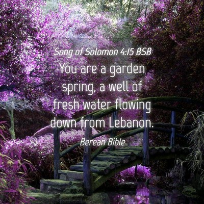 Picture 04 - Song of Solomon 4:15 BSB - You are a garden spring, a well of fresh water - Bible Verse Picture