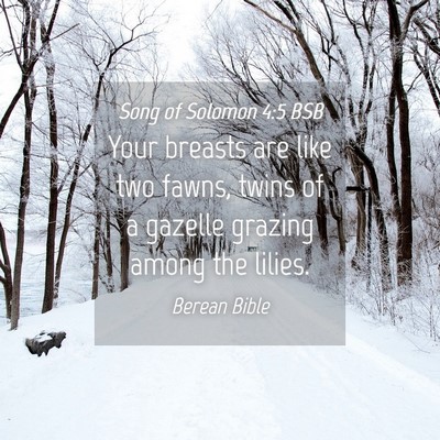 Picture 04 - Song of Solomon 4:5 BSB - Your breasts are like two fawns, twins of a - Bible Verse Picture