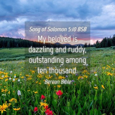 Picture 04 - Song of Solomon 5:10 BSB - My beloved is dazzling and ruddy, outstanding - Bible Verse Picture