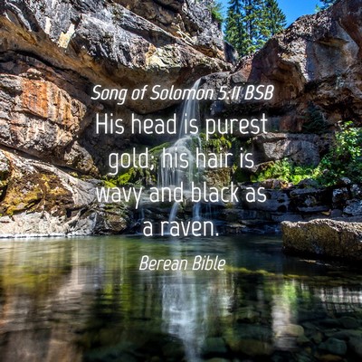 Picture 04 - Song of Solomon 5:11 BSB - His head is purest gold; his hair is wavy and - Bible Verse Picture