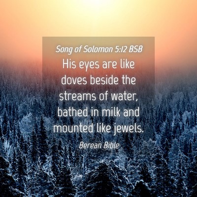 Picture 04 - Song of Solomon 5:12 BSB - His eyes are like doves beside the streams of - Bible Verse Picture