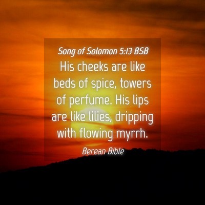 Picture 04 - Song of Solomon 5:13 BSB - His cheeks are like beds of spice, towers of - Bible Verse Picture