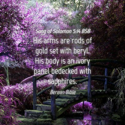 Picture 04 - Song of Solomon 5:14 BSB - His arms are rods of gold set with beryl. His - Bible Verse Picture