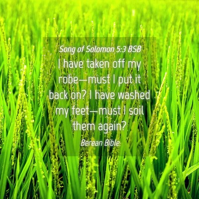 Picture 04 - Song of Solomon 5:3 BSB - I have taken off my robe—must I put it back on? - Bible Verse Picture