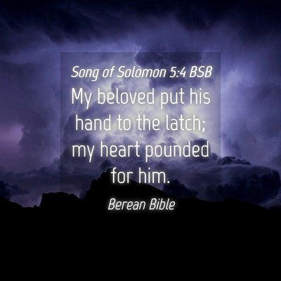 Picture 04 - Song of Solomon 5:4 BSB - My beloved put his hand to the latch; my heart - Bible Verse Picture