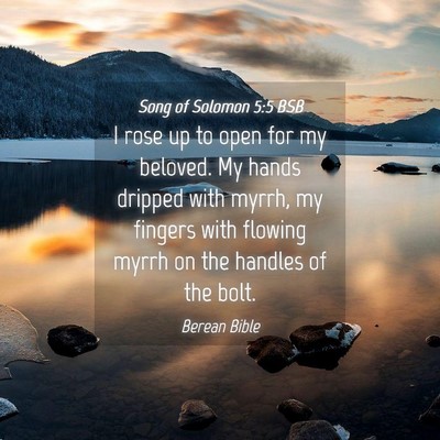 Picture 04 - Song of Solomon 5:5 BSB - I rose up to open for my beloved. My hands - Bible Verse Picture