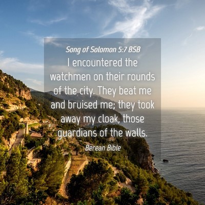 Picture 04 - Song of Solomon 5:7 BSB - I encountered the watchmen on their rounds of the - Bible Verse Picture