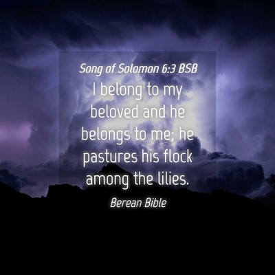 Picture 04 - Song of Solomon 6:3 BSB - I belong to my beloved and he belongs to me; he - Bible Verse Picture