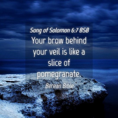 Picture 04 - Song of Solomon 6:7 BSB - Your brow behind your veil is like a slice of - Bible Verse Picture