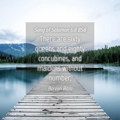 Picture 04 - Song of Solomon 6:8 BSB - There are sixty queens and eighty concubines, and - Bible Verse Picture