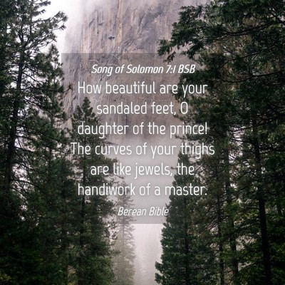 Picture 04 - Song of Solomon 7:1 BSB - How beautiful are your sandaled feet, O daughter - Bible Verse Picture