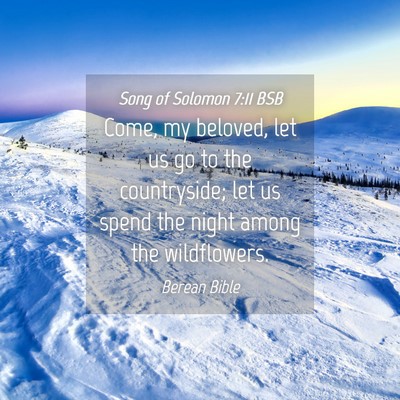 Picture 04 - Song of Solomon 7:11 BSB - Come, my beloved, let us go to the countryside; - Bible Verse Picture