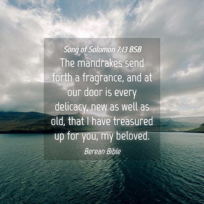 Picture 04 - Song of Solomon 7:13 BSB - The mandrakes send forth a fragrance, and at our - Bible Verse Picture