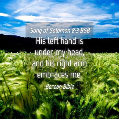 Picture 04 - Song of Solomon 8:3 BSB - His left hand is under my head, and his right arm - Bible Verse Picture