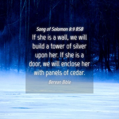 Picture 04 - Song of Solomon 8:9 BSB - If she is a wall, we will build a tower of silver - Bible Verse Picture