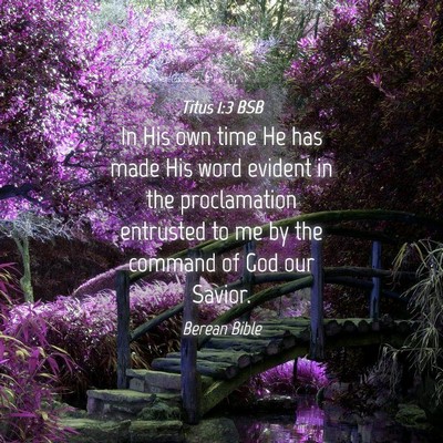 Picture 04 - Titus 1:3 BSB - In His own time He has made His word evident in - Bible Verse Picture