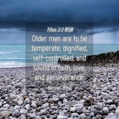 Picture 04 - Titus 2:2 BSB - Older men are to be temperate, dignified, - Bible Verse Picture