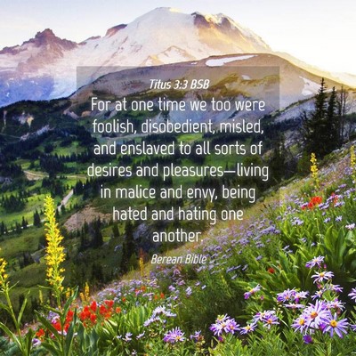 Picture 04 - Titus 3:3 BSB - For at one time we too were foolish, disobedient, - Bible Verse Picture