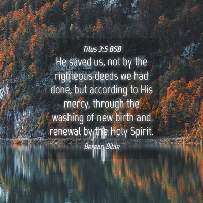 Picture 04 - Titus 3:5 BSB - He saved us, not by the righteous deeds we had - Bible Verse Picture