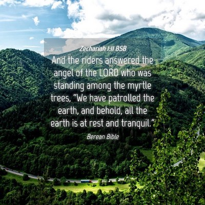 Picture 04 - Zechariah 1:11 BSB - And the riders answered the angel of the LORD who - Bible Verse Picture