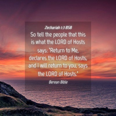 Picture 04 - Zechariah 1:3 BSB - So tell the people that this is what the LORD of - Bible Verse Picture