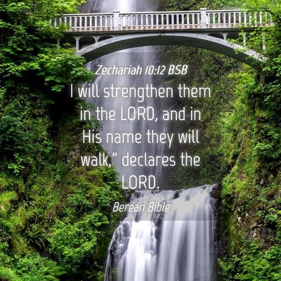 Picture 04 - Zechariah 10:12 BSB - I will strengthen them in the LORD, and in His - Bible Verse Picture
