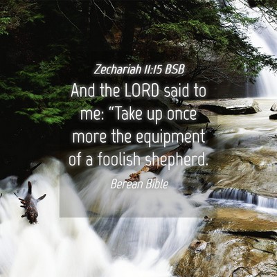 Picture 04 - Zechariah 11:15 BSB - And the LORD said to me: “Take up once more the - Bible Verse Picture