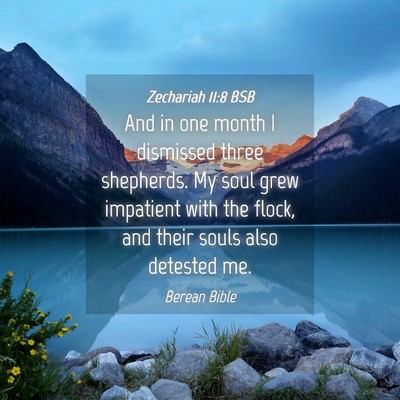 Picture 04 - Zechariah 11:8 BSB - And in one month I dismissed three shepherds. My - Bible Verse Picture