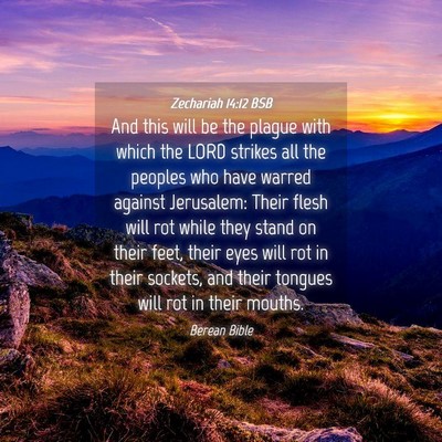 Picture 04 - Zechariah 14:12 BSB - And this will be the plague with which the LORD - Bible Verse Picture