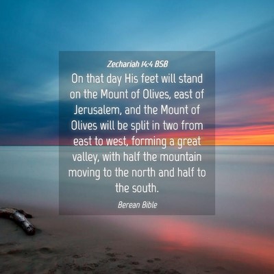 Picture 04 - Zechariah 14:4 BSB - On that day His feet will stand on the Mount of - Bible Verse Picture