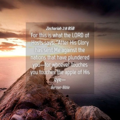 Picture 04 - Zechariah 2:8 BSB - For this is what the LORD of Hosts says: “After - Bible Verse Picture