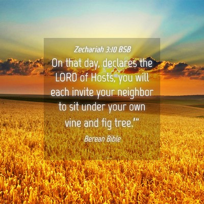 Picture 04 - Zechariah 3:10 BSB - On that day, declares the LORD of Hosts, you will - Bible Verse Picture