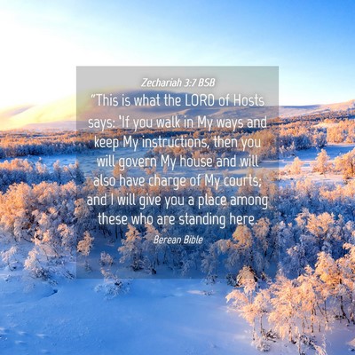 Picture 04 - Zechariah 3:7 BSB - “This is what the LORD of Hosts says: ‘If you - Bible Verse Picture