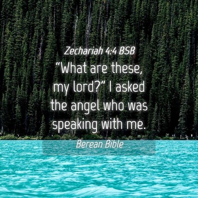 Picture 04 - Zechariah 4:4 BSB - “What are these, my lord?” I asked the angel - Bible Verse Picture
